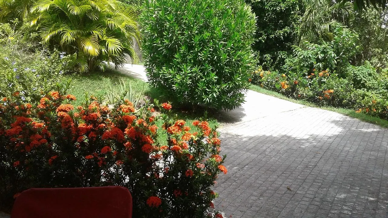 Holiday home Bungalow Le Manikou Le Robert
