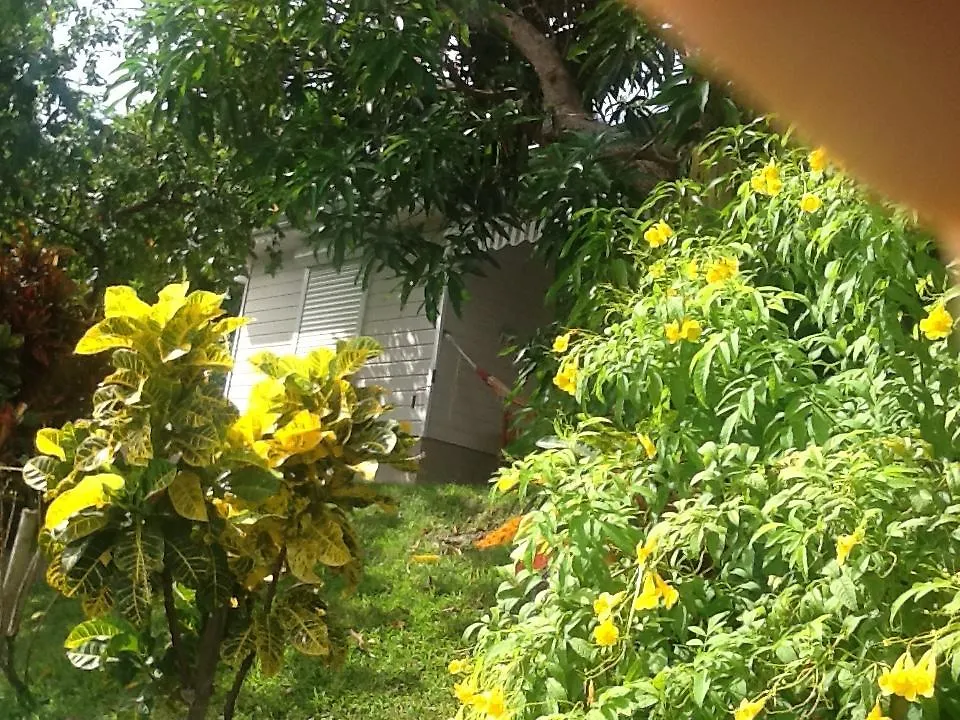 Bungalow Le Manikou Le Robert Holiday home